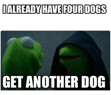 i-already-have-four-dogs-get-another-dog