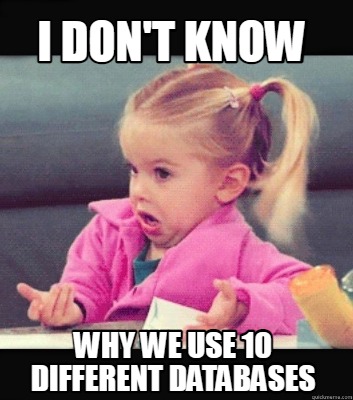 i-dont-know-why-we-use-10-different-databases