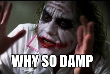 why-so-damp