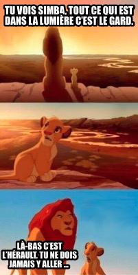 tu-vois-simba-tout-ce-qui-est-dans-la-lumire-cest-le-gard.-l-bas-cest-lhrault-tu