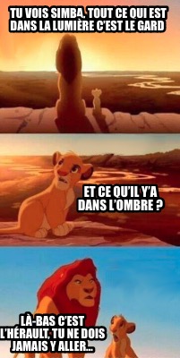 tu-vois-simba-tout-ce-qui-est-dans-la-lumire-cest-le-gard-et-ce-quil-ya-dans-lom