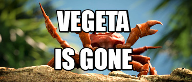 vegeta-is-gone