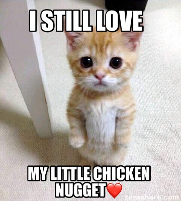 i-still-love-my-little-chicken-nugget