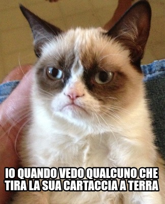 io-quando-vedo-qualcuno-che-tira-la-sua-cartaccia-a-terra