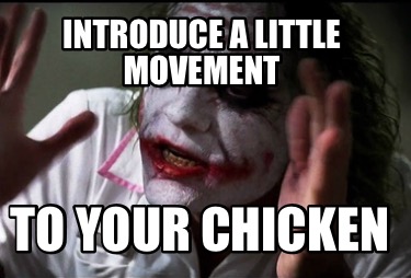 introduce-a-little-movement-to-your-chicken