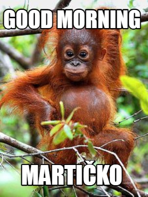 good-morning-martiko