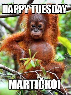 happy-tuesday-martiko