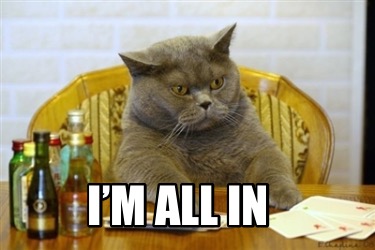im-all-in3