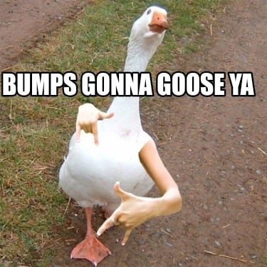 bumps-gonna-goose-ya