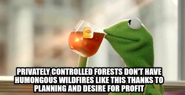 privately-controlled-forests-dont-have-humongous-wildfires-like-this-thanks-to-p