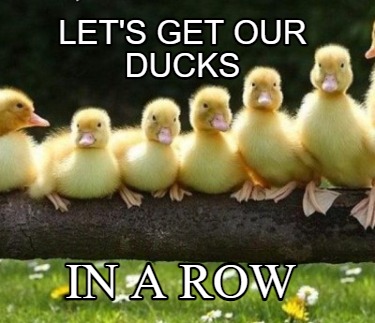 lets-get-our-ducks-in-a-row2