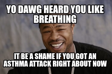 yo-dawg-heard-you-like-breathing-it-be-a-shame-if-you-got-an-asthma-attack-right