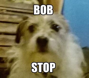 bob-stop