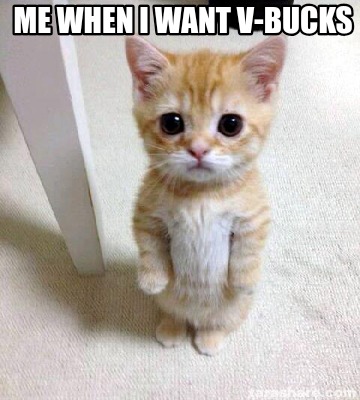me-when-i-want-v-bucks