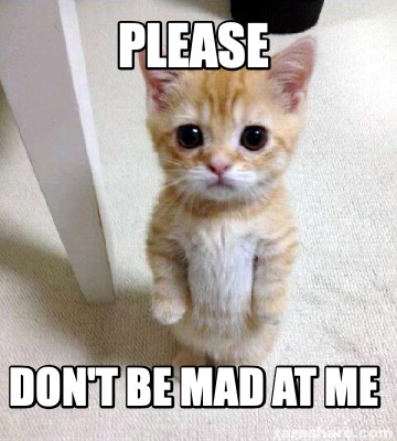 please-dont-be-mad-at-me7
