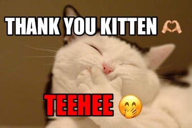thank-you-kitten-teehee-