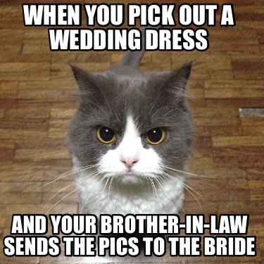 when-you-pick-out-a-wedding-dress-and-your-brother-in-law-sends-the-pics-to-the-