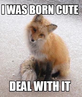 i-was-born-cute-deal-with-it