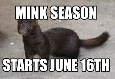 mink-season-starts-june-16th