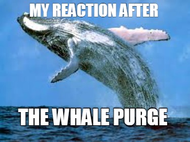 my-reaction-after-the-whale-purge