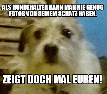 als-hundehalter-kann-man-nie-genug-fotos-von-seinem-schatz-haben.-zeigt-doch-mal