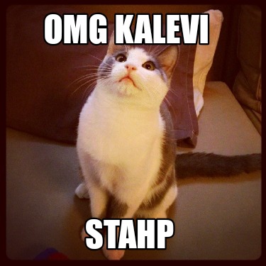 omg-kalevi-stahp