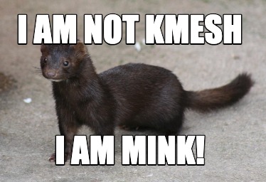 i-am-not-kmesh-i-am-mink