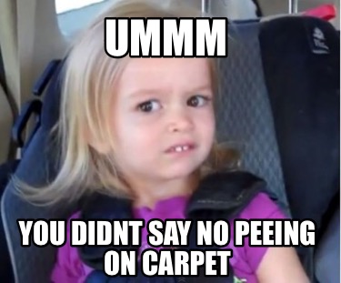 ummm-you-didnt-say-no-peeing-on-carpet