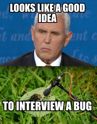 looks-like-a-good-idea-to-interview-a-bug9