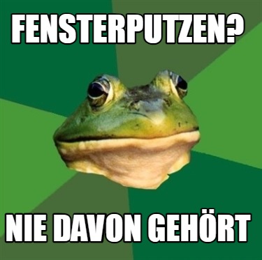 fensterputzen-nie-davon-gehrt
