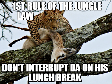1st-rule-of-the-jungle-law-dont-interrupt-da-on-his-lunch-break