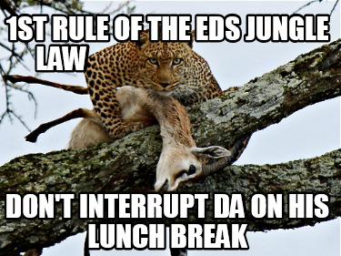 1st-rule-of-the-eds-jungle-law-dont-interrupt-da-on-his-lunch-break