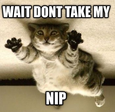 wait-dont-take-my-nip