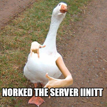 norked-the-server-iinitt
