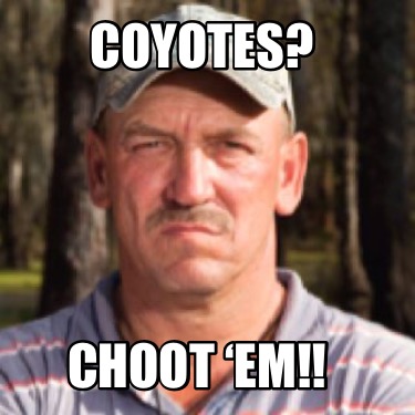 coyotes-choot-em
