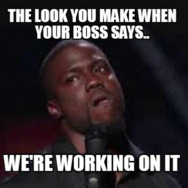 the-look-you-make-when-your-boss-says..-were-working-on-it