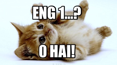 eng-1-0-hai