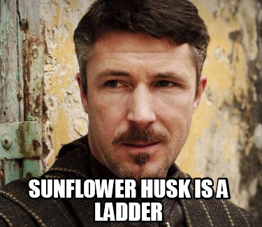 sunflower-husk-is-a-ladder
