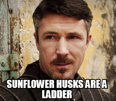 sunflower-husks-are-a-ladder