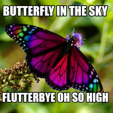 butterfly-in-the-sky-flutterbye-oh-so-high