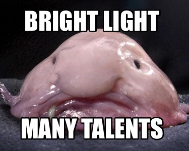 bright-light-many-talents