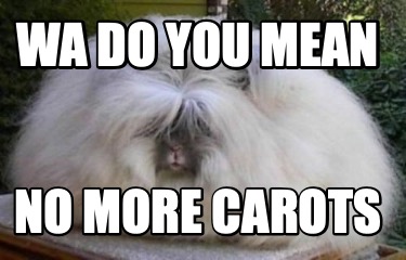 wa-do-you-mean-no-more-carots