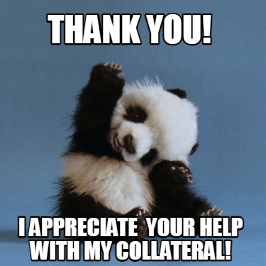 thank-you-i-appreciate-your-help-with-my-collateral