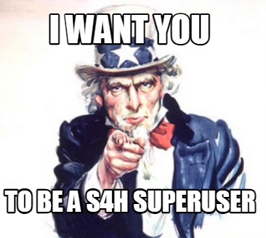 i-want-you-to-be-a-s4h-superuser5
