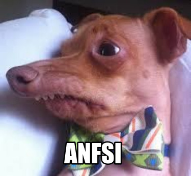 anfsi