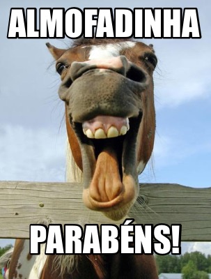 almofadinha-parabns3