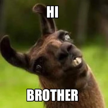 hi-brother