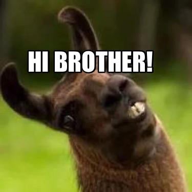 hi-brother1