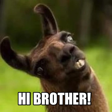 hi-brother2