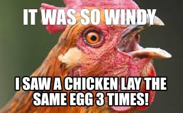 it-was-so-windy-i-saw-a-chicken-lay-the-same-egg-3-times